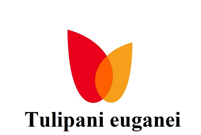 Tulipani euganei